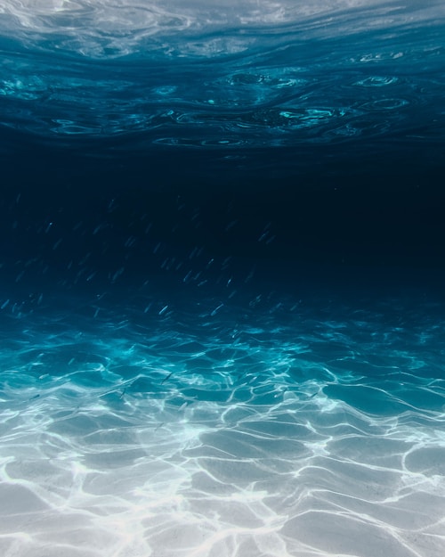 Diving course