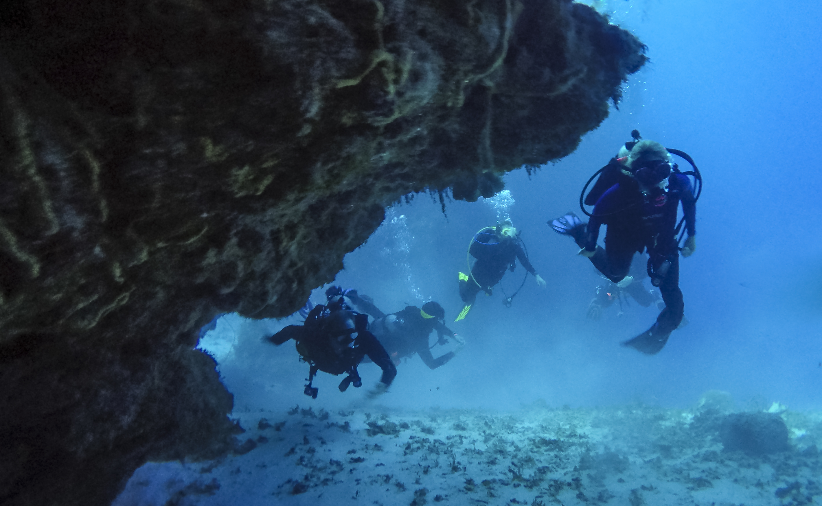 Underwater diving scene